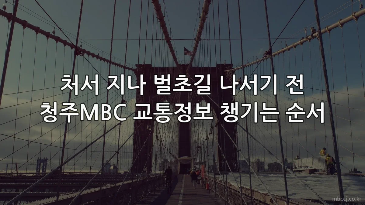 처서 지나 벌초길 나서기 전 청주MBC 교통정보 챙기는 순서