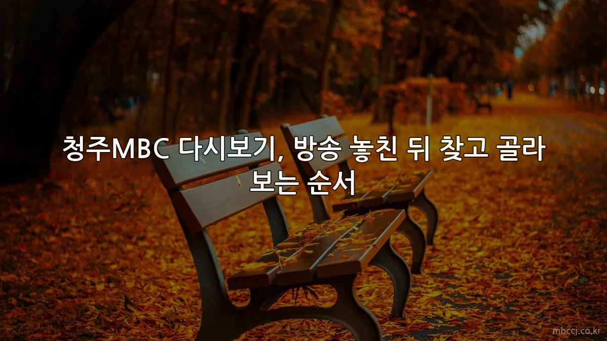 청주MBC 다시보기, 방송 놓친 뒤 찾고 골라 보는 순서