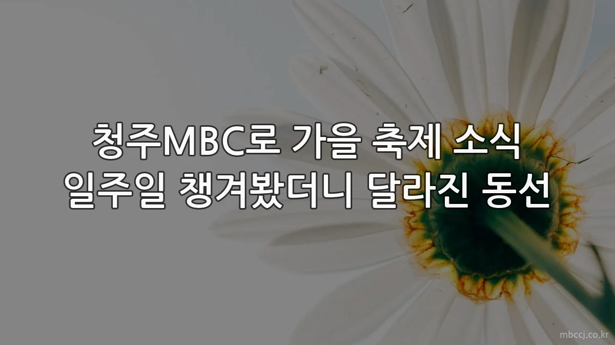 청주MBC로 가을 축제 소식 일주일 챙겨봤더니 달라진 동선