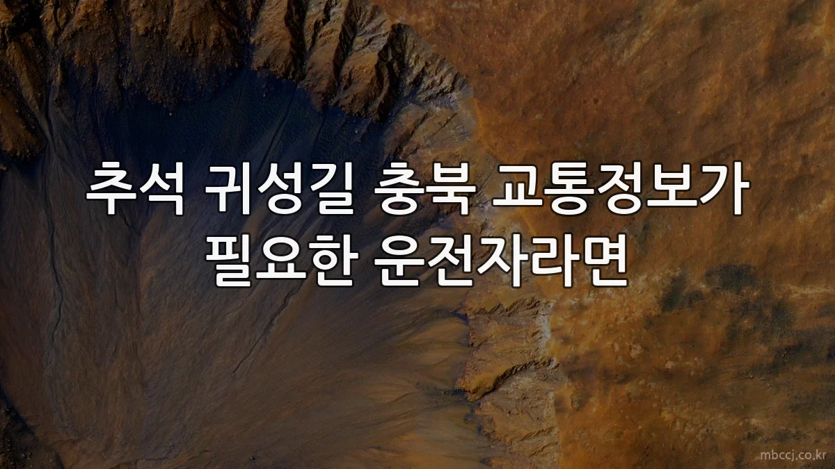 추석 귀성길 충북 교통정보가 필요한 운전자라면