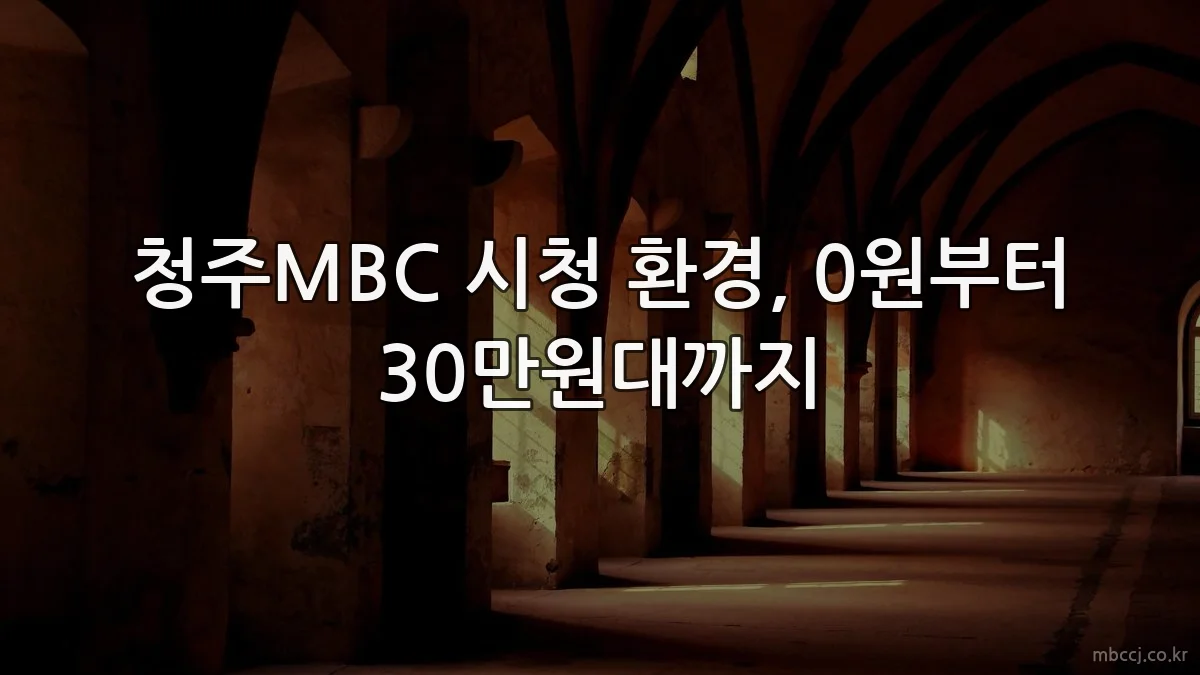 청주MBC 시청 환경, 0원부터 30만원대까지