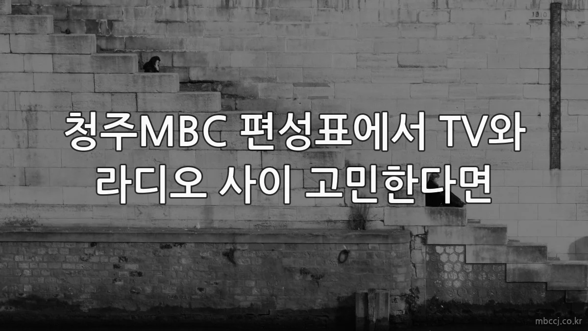 청주MBC 편성표에서 TV와 라디오 사이 고민한다면