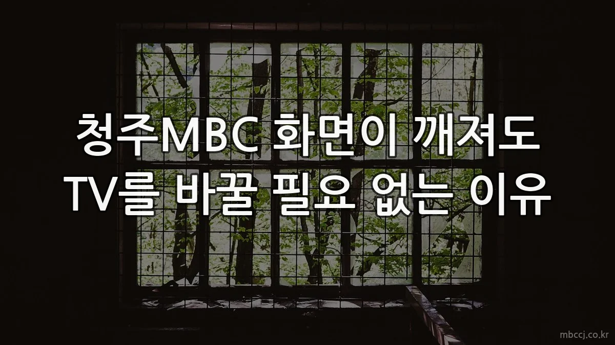 청주MBC 화면이 깨져도 TV를 바꿀 필요 없는 이유