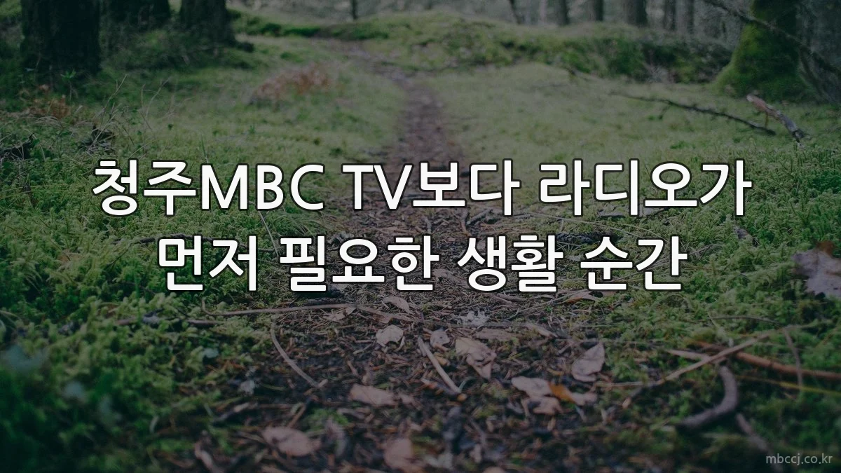 청주MBC TV보다 라디오가 먼저 필요한 생활 순간