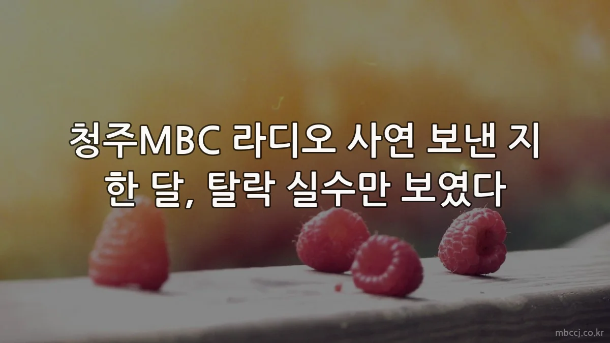 청주MBC 라디오 사연 보낸 지 한 달, 탈락 실수만 보였다