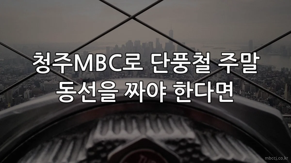 청주MBC로 단풍철 주말 동선을 짜야 한다면