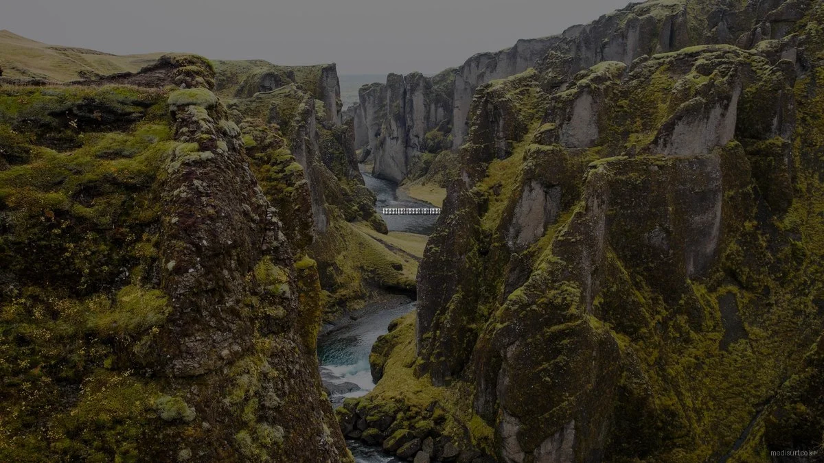 초보자를 위한 의료정보 활용 가이드