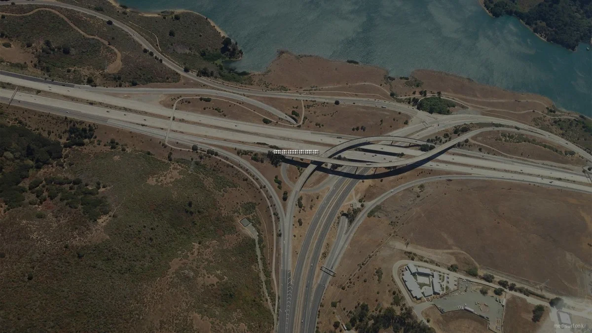 주목할 만한 의료정보 실패 사례와 교훈