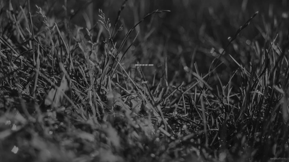 숨겨진 건강 관리 비법: 일상에서 실천하기