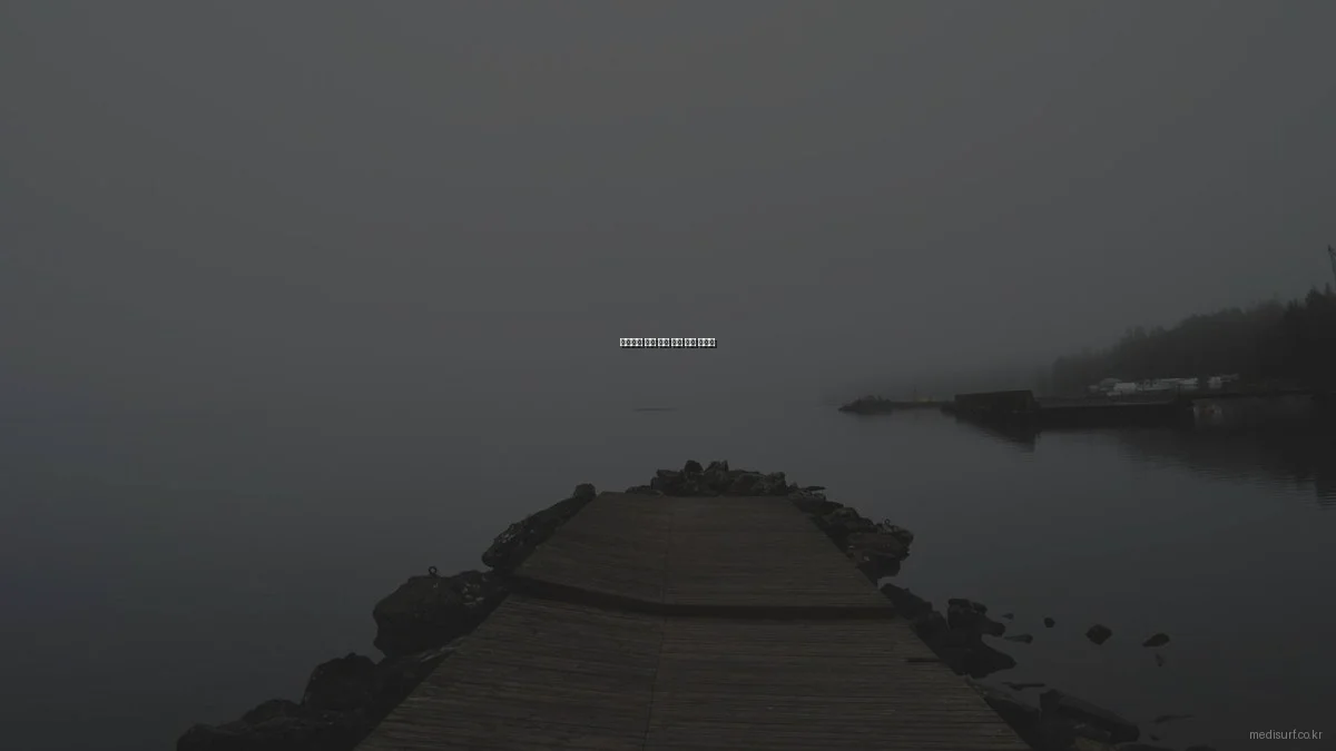 초보자를 위한 건강 정보 활용 가이드