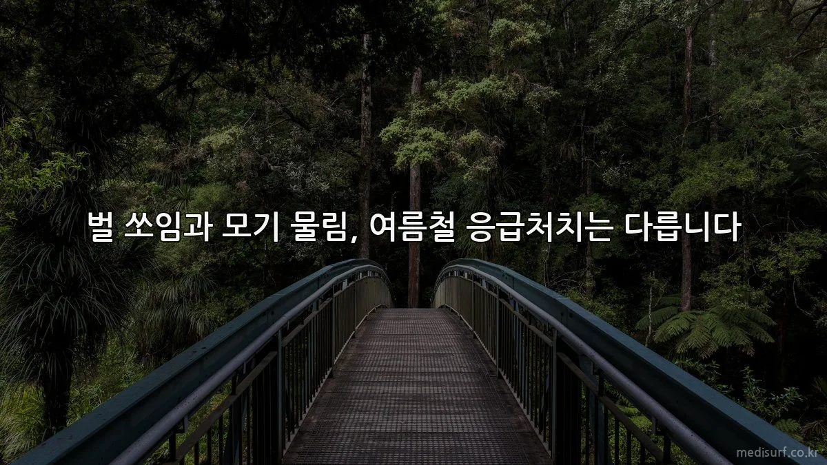 벌 쏘임과 모기 물림, 여름철 응급처치는 다릅니다