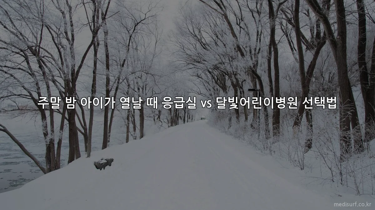 주말 밤 아이가 열날 때 응급실 vs 달빛어린이병원 선택법