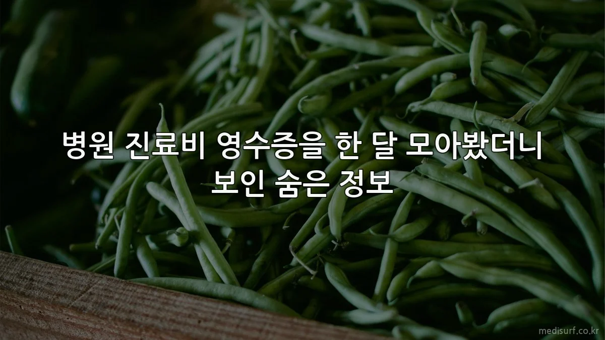 병원 진료비 영수증을 한 달 모아봤더니 보인 숨은 정보
