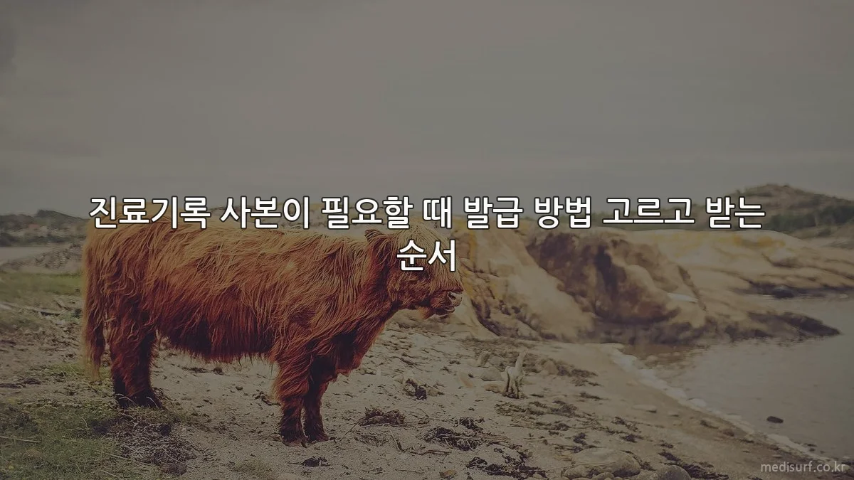진료기록 사본이 필요할 때 발급 방법 고르고 받는 순서