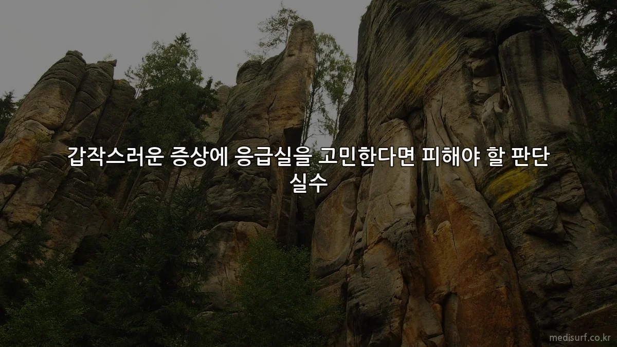 갑작스러운 증상에 응급실을 고민한다면 피해야 할 판단 실수