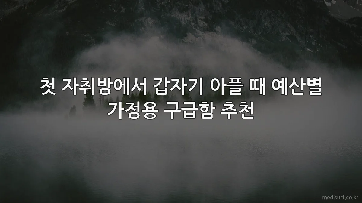 첫 자취방에서 갑자기 아플 때 예산별 가정용 구급함 추천