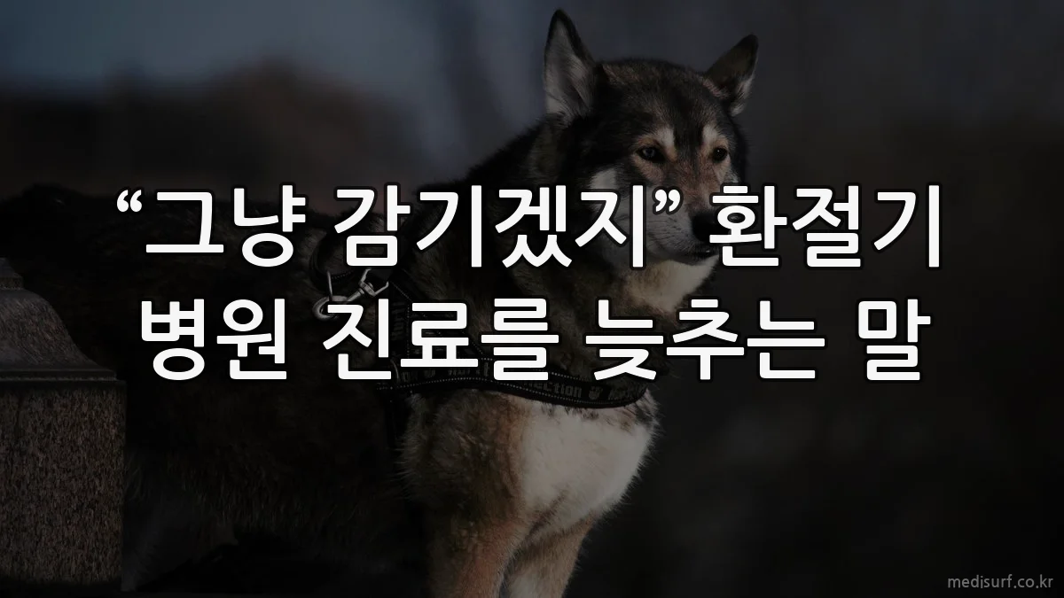 “그냥 감기겠지” 환절기 병원 진료를 늦추는 말