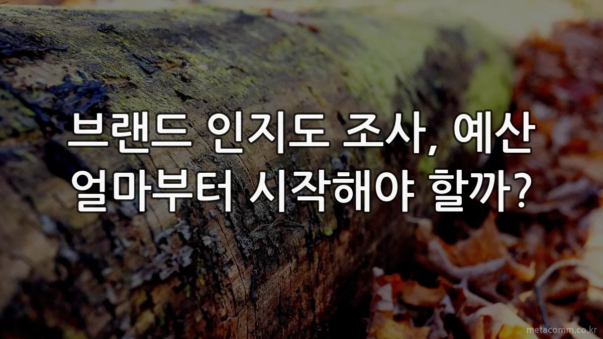 브랜드 인지도 조사, 예산 얼마부터 시작해야 할까?