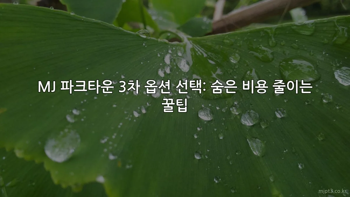 MJ 파크타운 3차 옵션 선택: 숨은 비용 줄이는 꿀팁