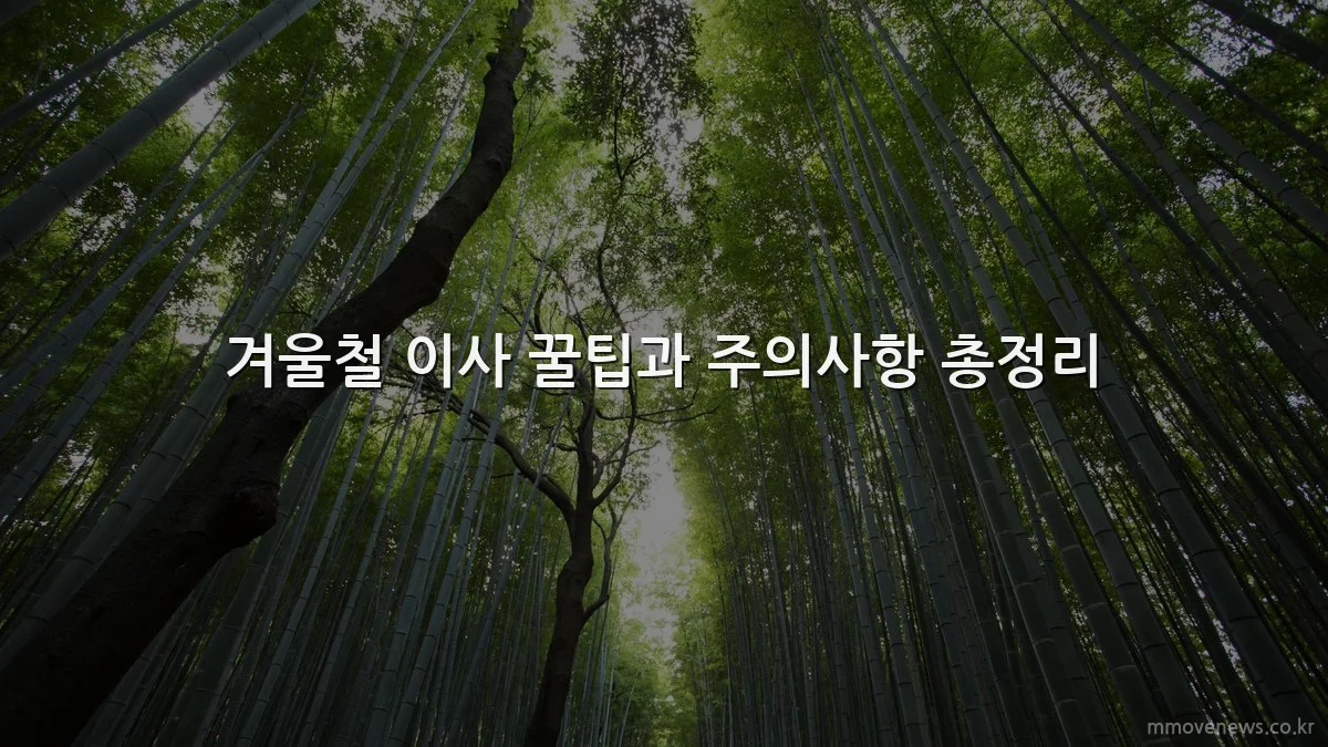 겨울철 이사 꿀팁과 주의사항 총정리