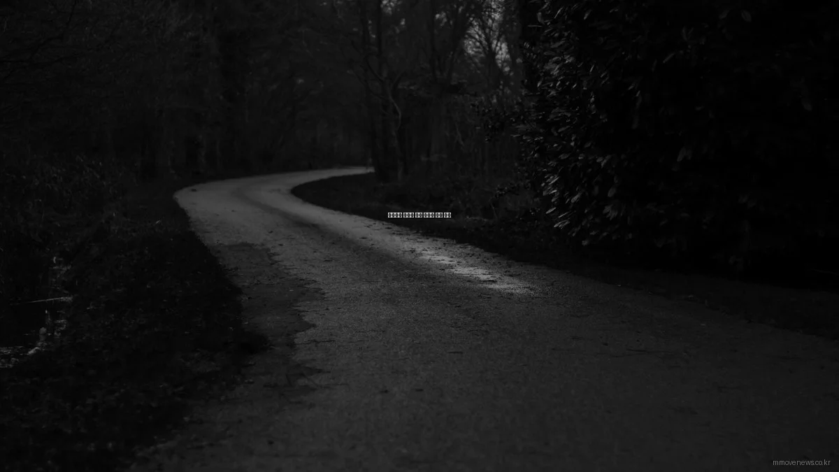 효율적인 이사를 위한 포장재 비교 분석