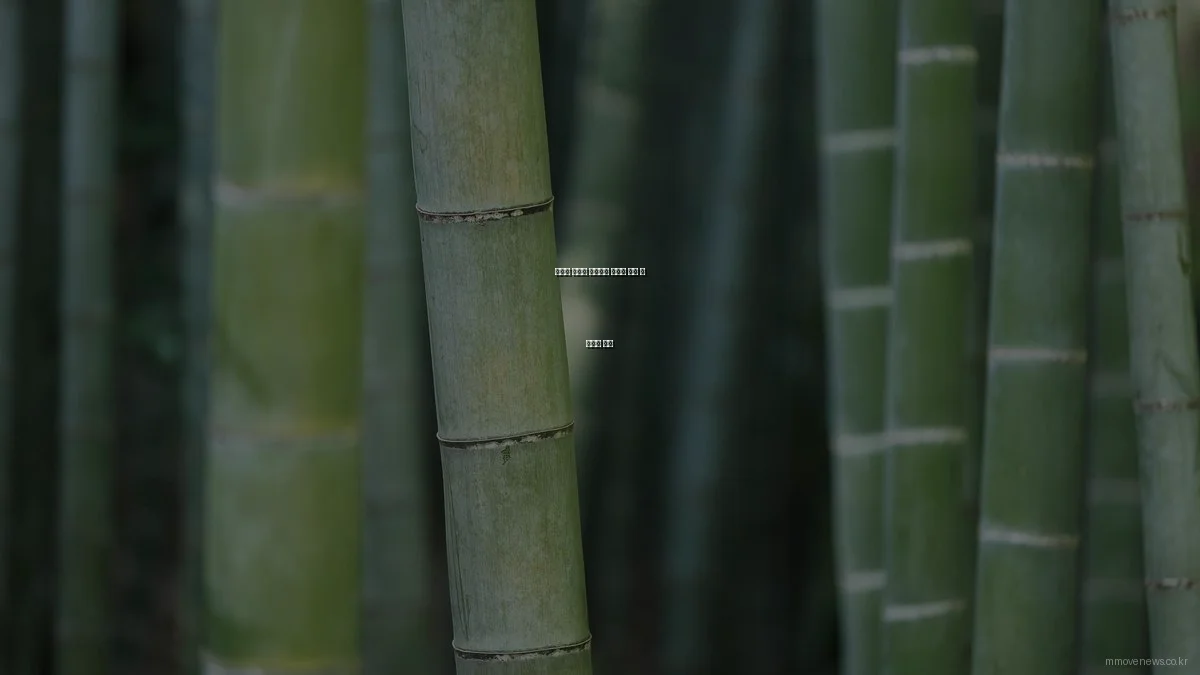 예산별 최적의 인테리어 스타일 추천 및 가성비 분석