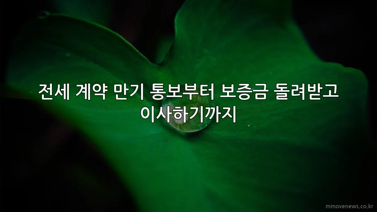 전세 계약 만기 통보부터 보증금 돌려받고 이사하기까지