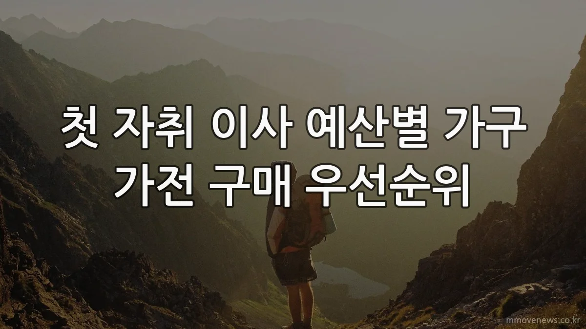 첫 자취 이사 예산별 가구 가전 구매 우선순위
