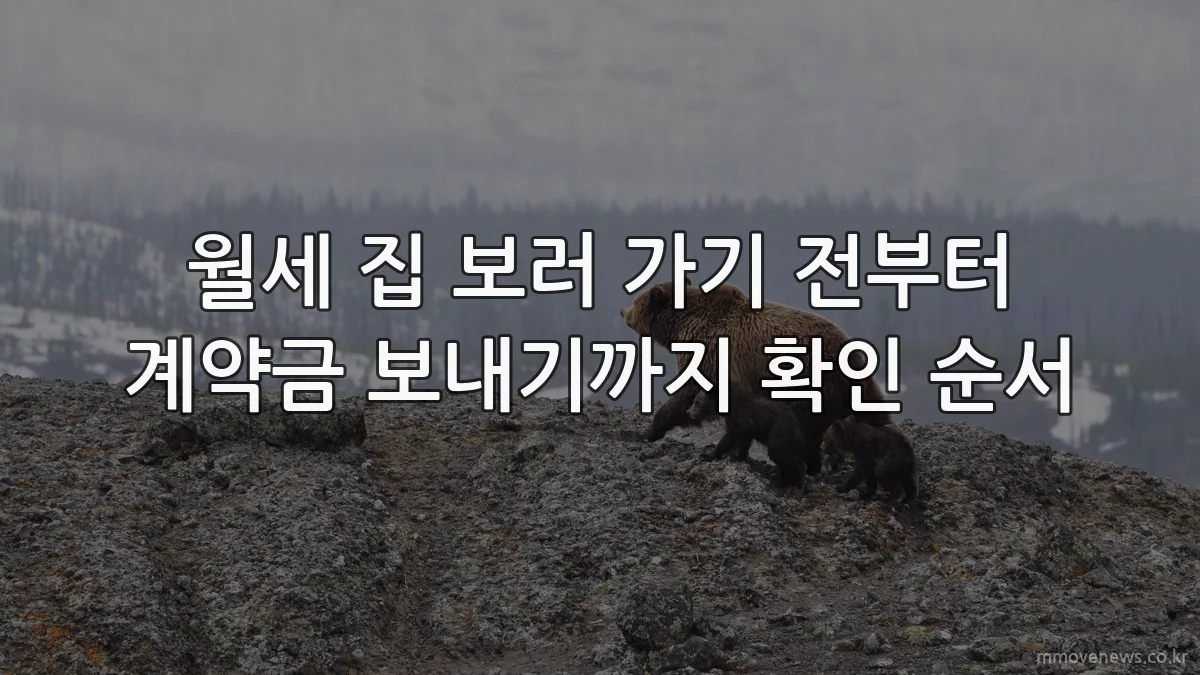 월세 집 보러 가기 전부터 계약금 보내기까지 확인 순서