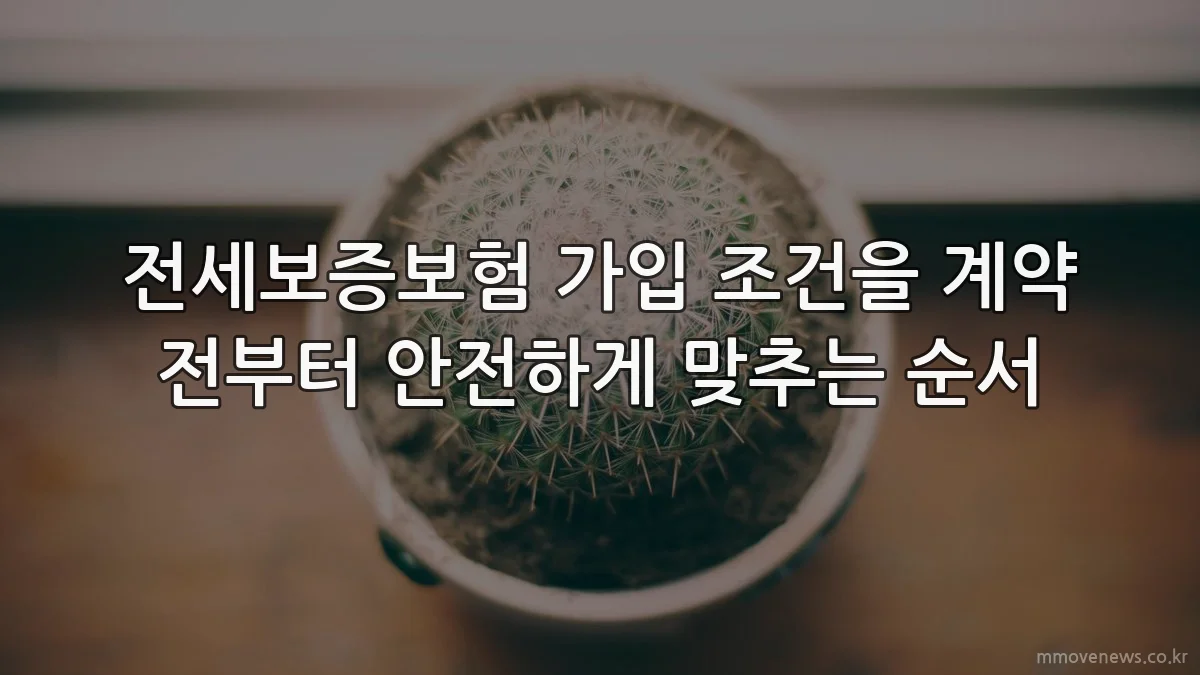 전세보증보험 가입 조건을 계약 전부터 안전하게 맞추는 순서