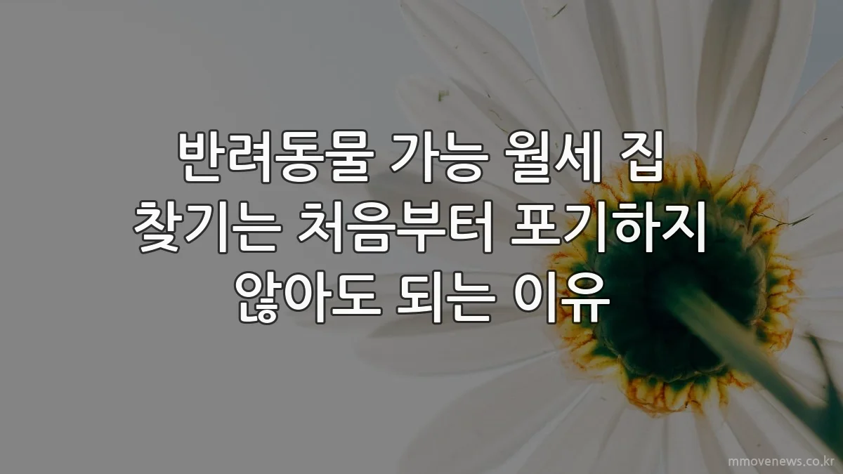 반려동물 가능 월세 집 찾기는 처음부터 포기하지 않아도 되는 이유