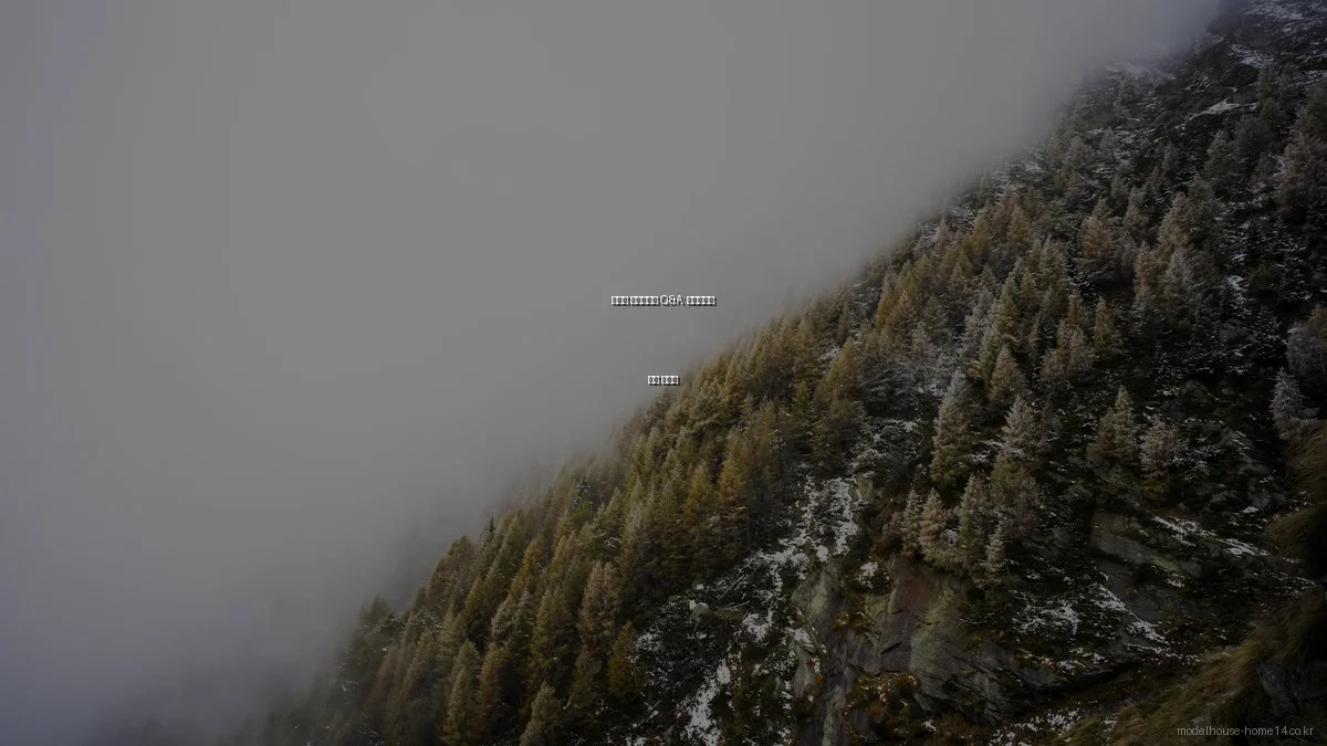 아파트 모델하우스 Q&A: 전문가와의 심층 인터뷰