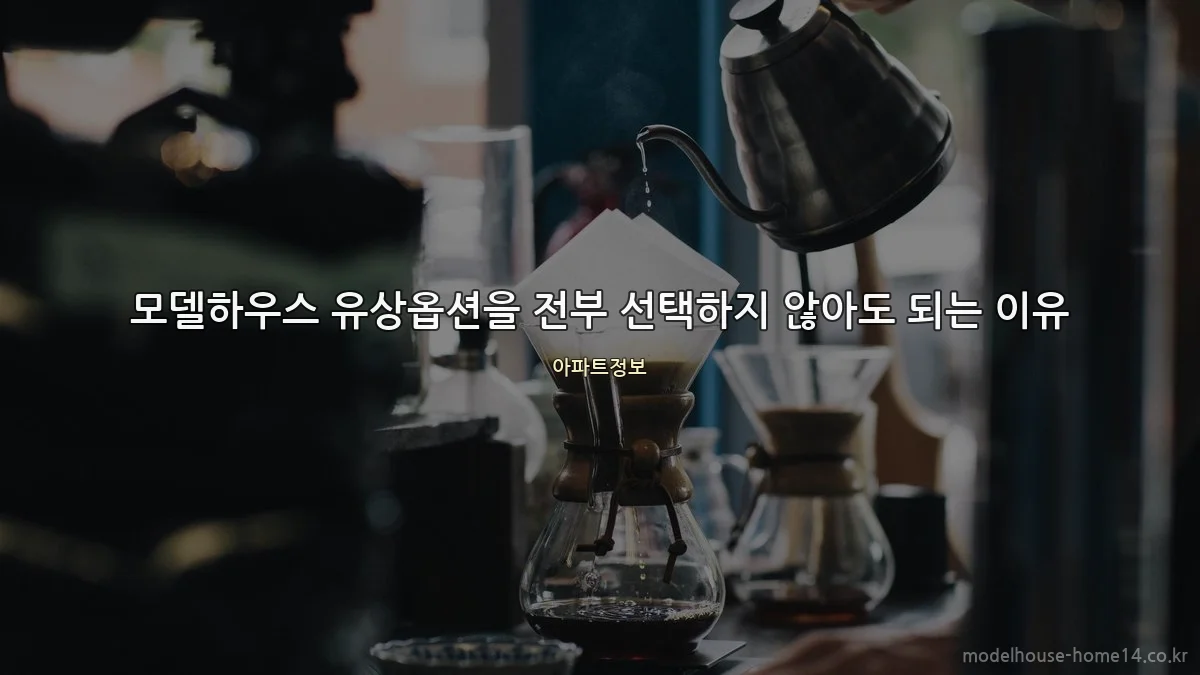 모델하우스 유상옵션을 전부 선택하지 않아도 되는 이유