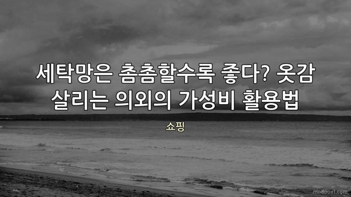 세탁망은 촘촘할수록 좋다? 옷감 살리는 의외의 가성비 활용법