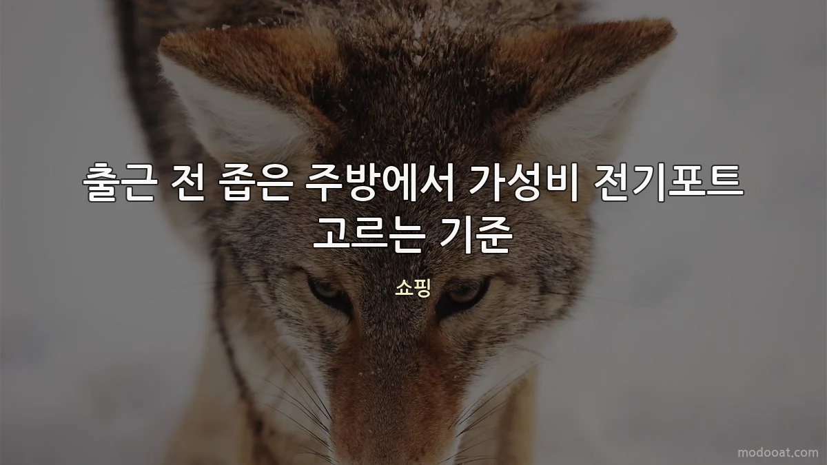 출근 전 좁은 주방에서 가성비 전기포트 고르는 기준