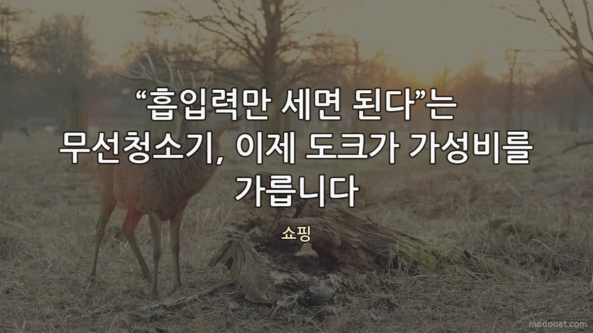 “흡입력만 세면 된다”는 무선청소기, 이제 도크가 가성비를 가릅니다