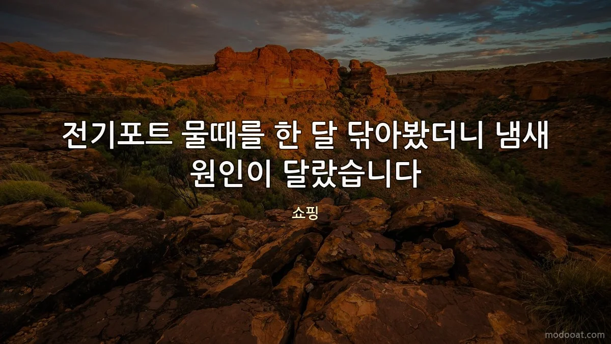 전기포트 물때를 한 달 닦아봤더니 냄새 원인이 달랐습니다