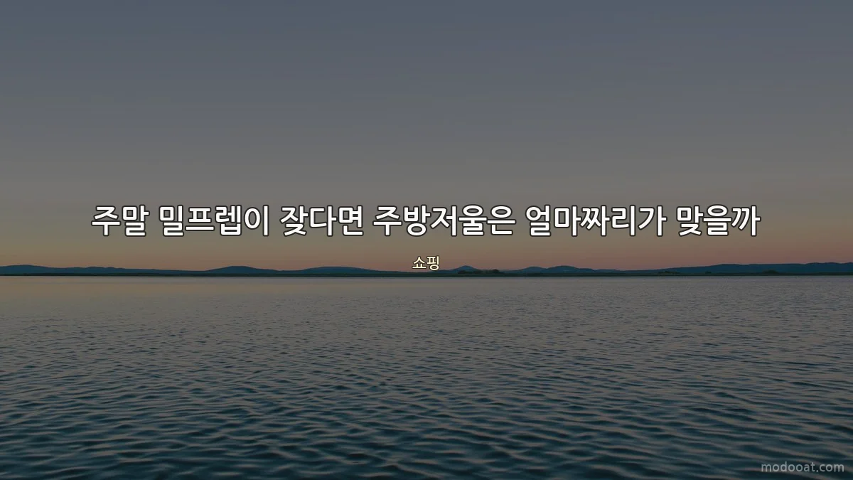 주말 밀프렙이 잦다면 주방저울은 얼마짜리가 맞을까