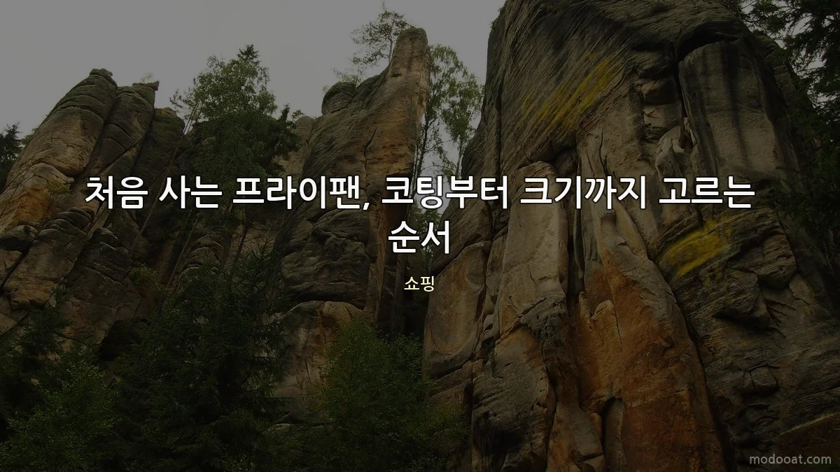 처음 사는 프라이팬, 코팅부터 크기까지 고르는 순서