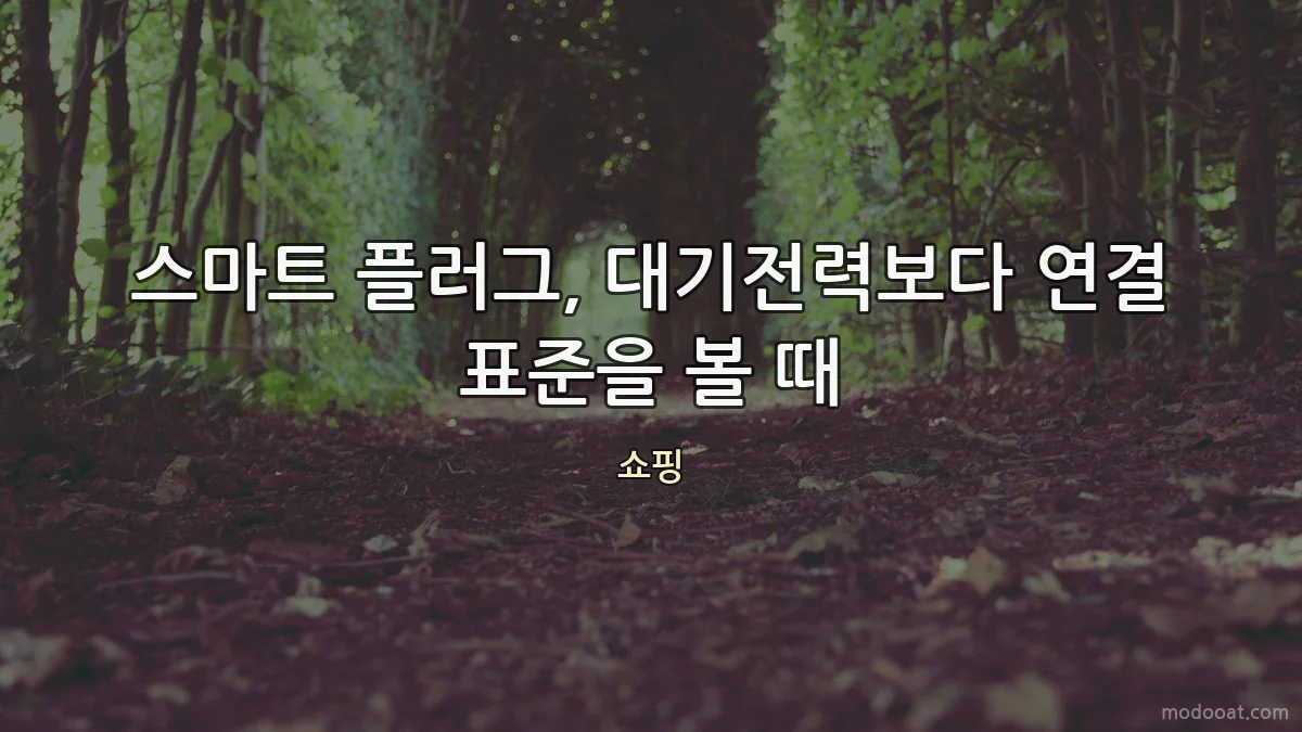 스마트 플러그, 대기전력보다 연결 표준을 볼 때