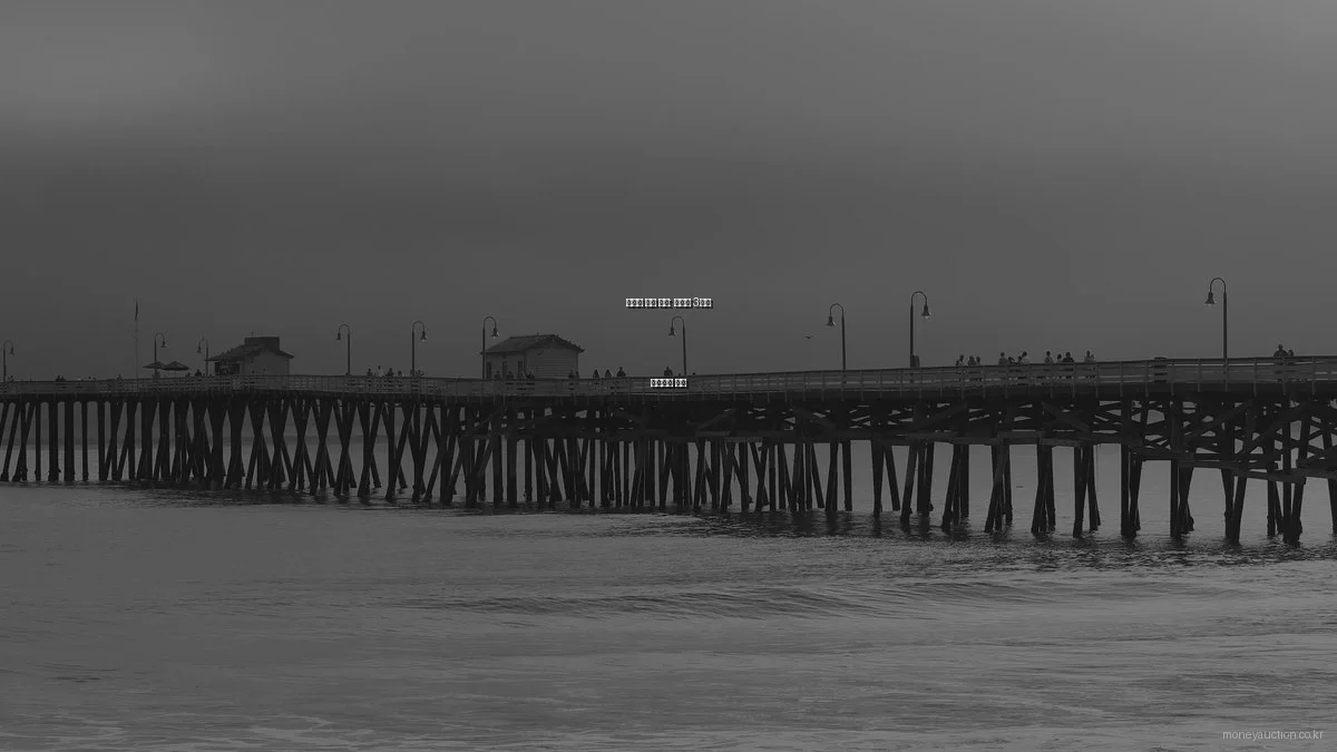 재테크 성공 비결: 전문가 3인의 인사이트 공개