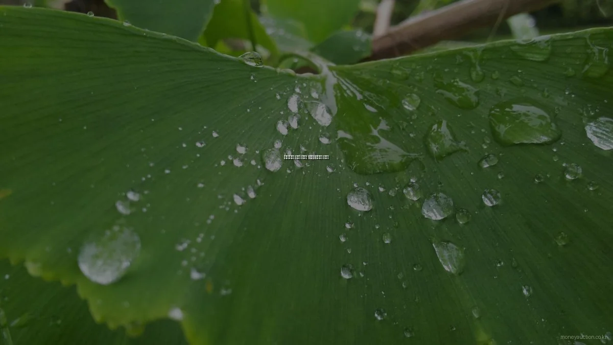 초보자의 경매 투자: 실전 후기와 꿀팁