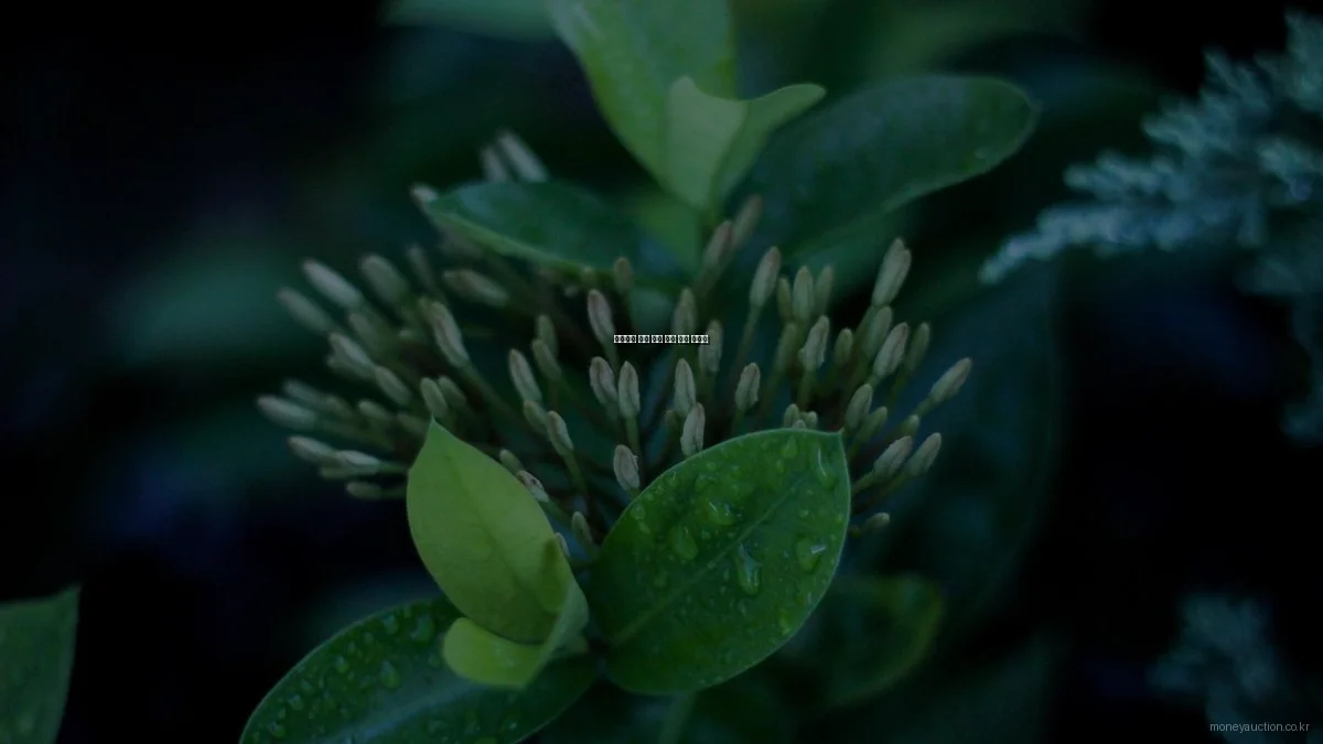 초보자도 쉬운 경매 투자 입문 가이드