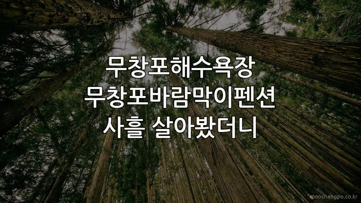 무창포해수욕장 무창포바람막이펜션 사흘 살아봤더니
