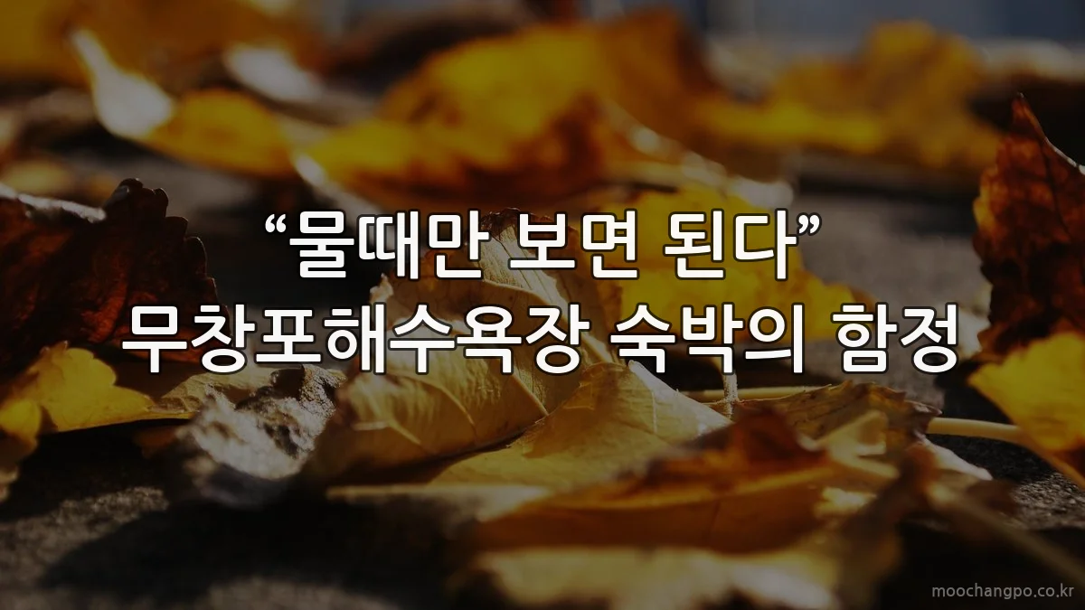 “물때만 보면 된다” 무창포해수욕장 숙박의 함정