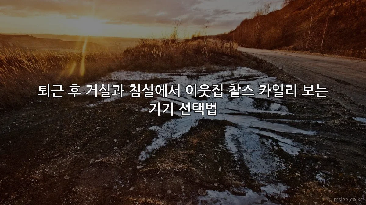 퇴근 후 거실과 침실에서 이웃집 찰스 카일리 보는 기기 선택법
