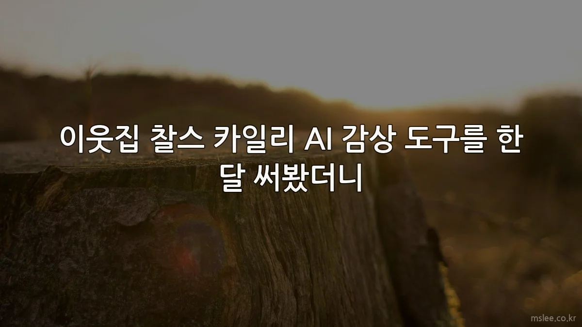 이웃집 찰스 카일리 AI 감상 도구를 한 달 써봤더니