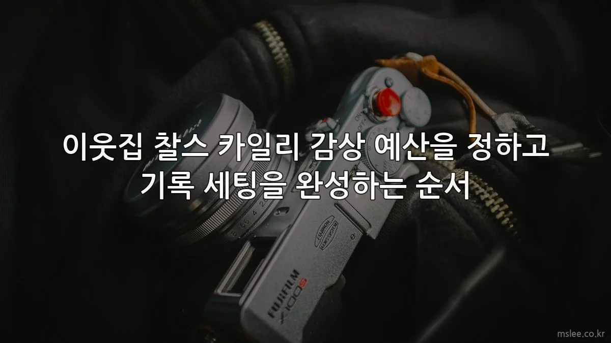 이웃집 찰스 카일리 감상 예산을 정하고 기록 세팅을 완성하는 순서