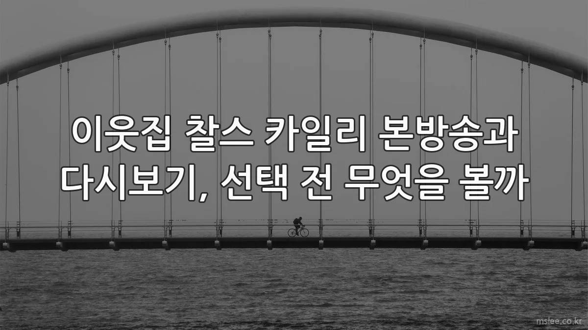 이웃집 찰스 카일리 본방송과 다시보기, 선택 전 무엇을 볼까