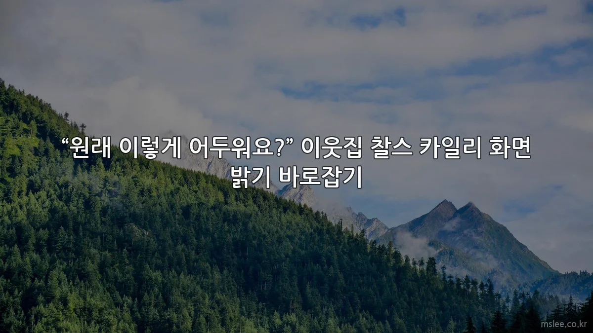 “원래 이렇게 어두워요?” 이웃집 찰스 카일리 화면 밝기 바로잡기